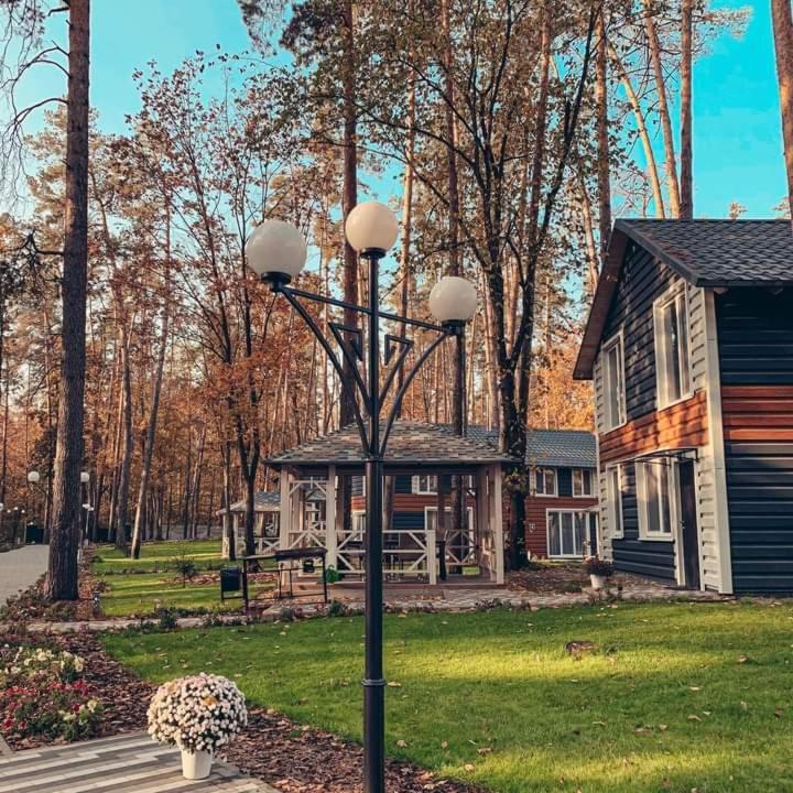 Клуб Відпочинку Dacha Villa Sokirno Buitenkant foto